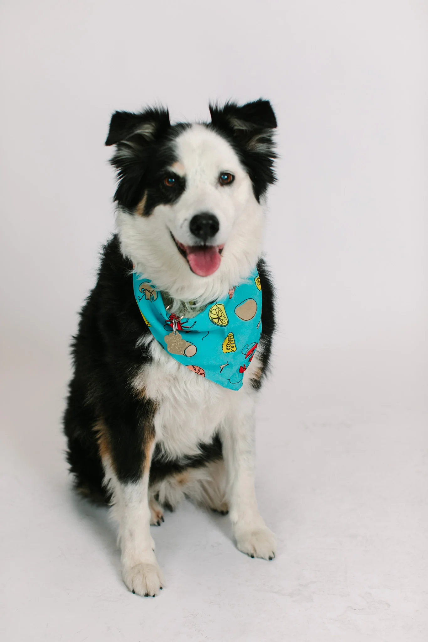 Blue Crawfish Dog Bandana