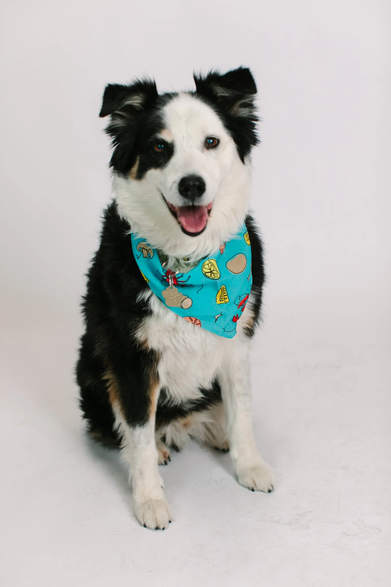 Blue Crawfish Dog Bandana - Image 2