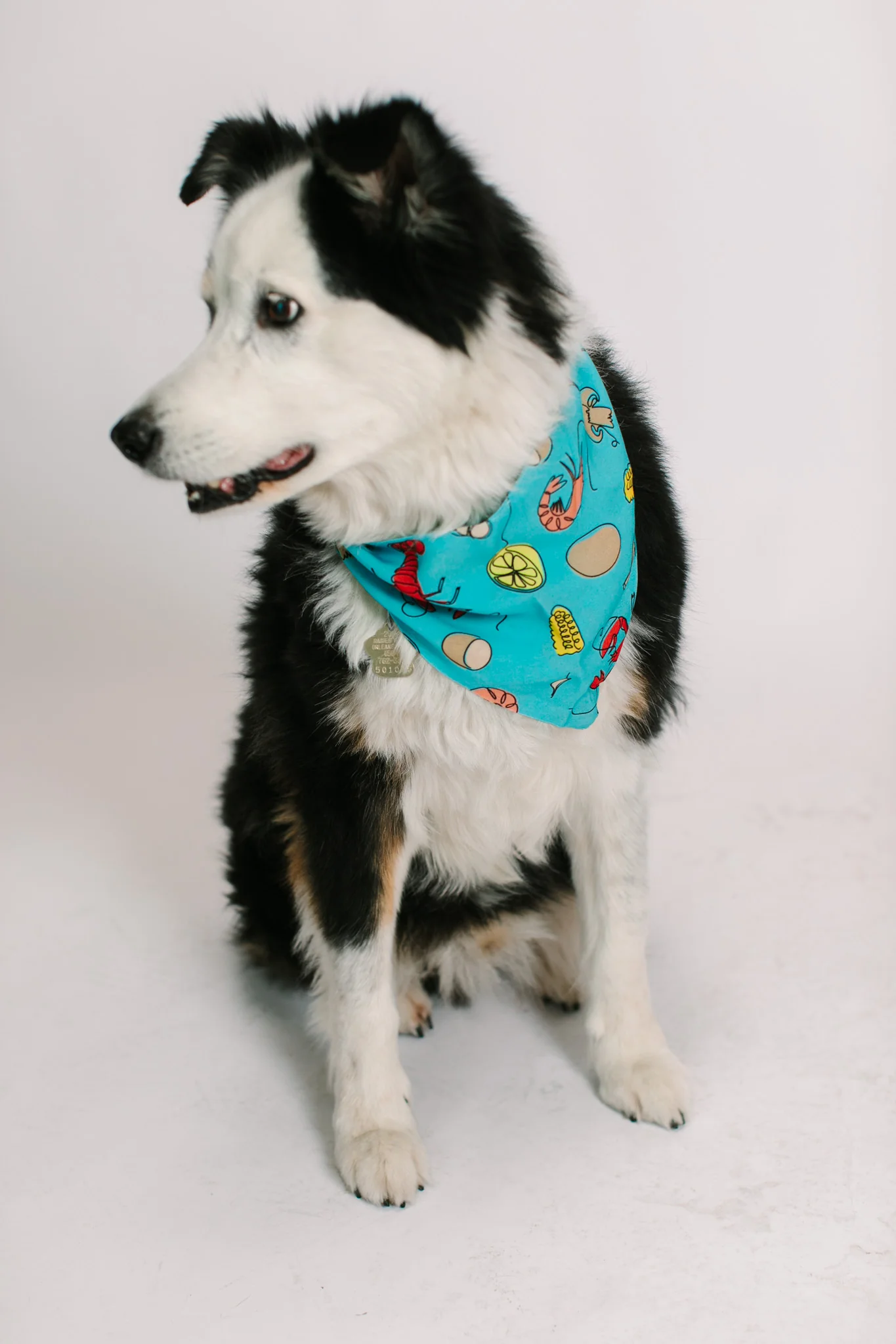 Blue Crawfish Dog Bandana - Image 3