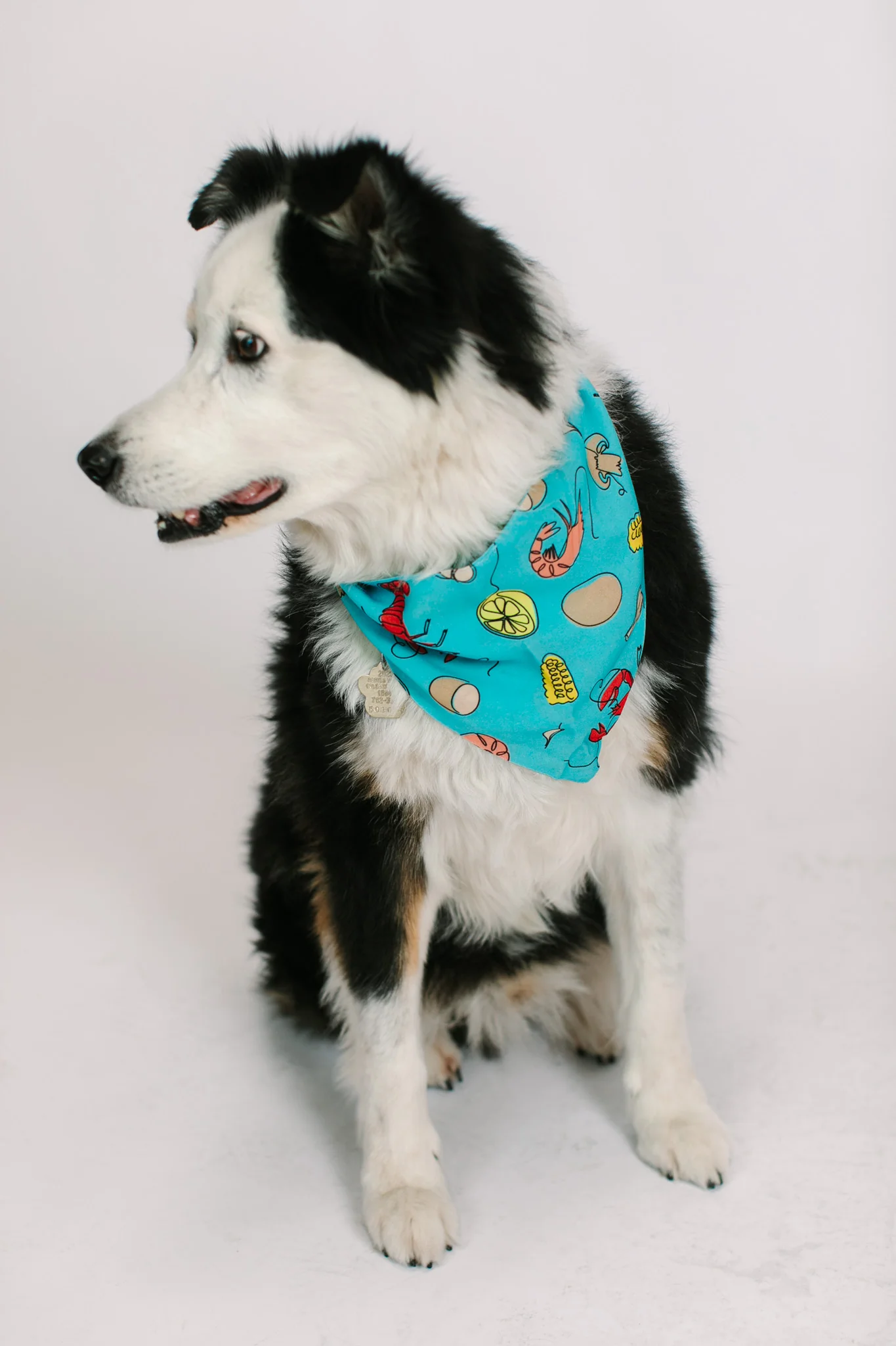 Blue Crawfish Dog Bandana - Image 4