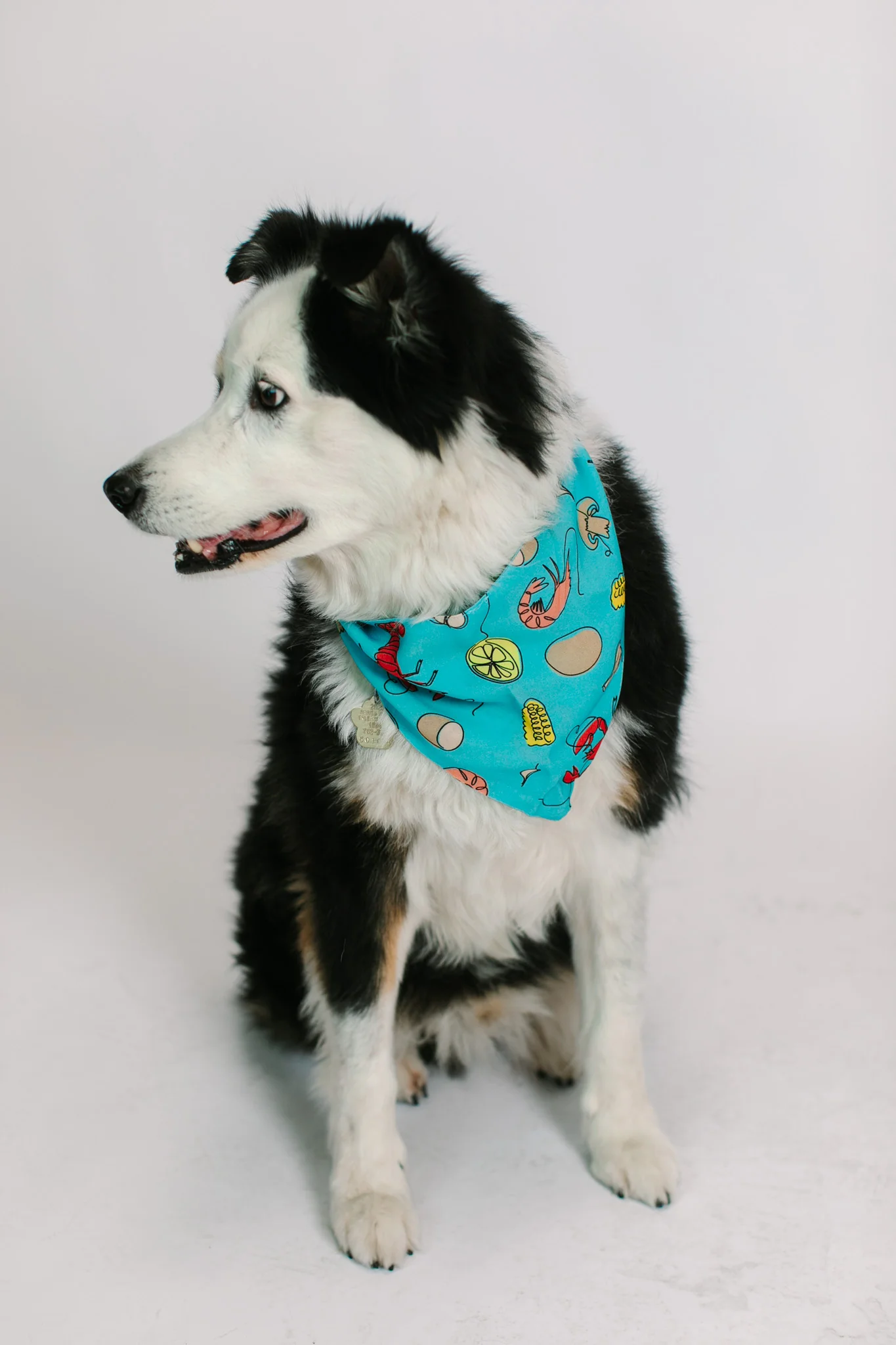 Blue Crawfish Dog Bandana - Image 5