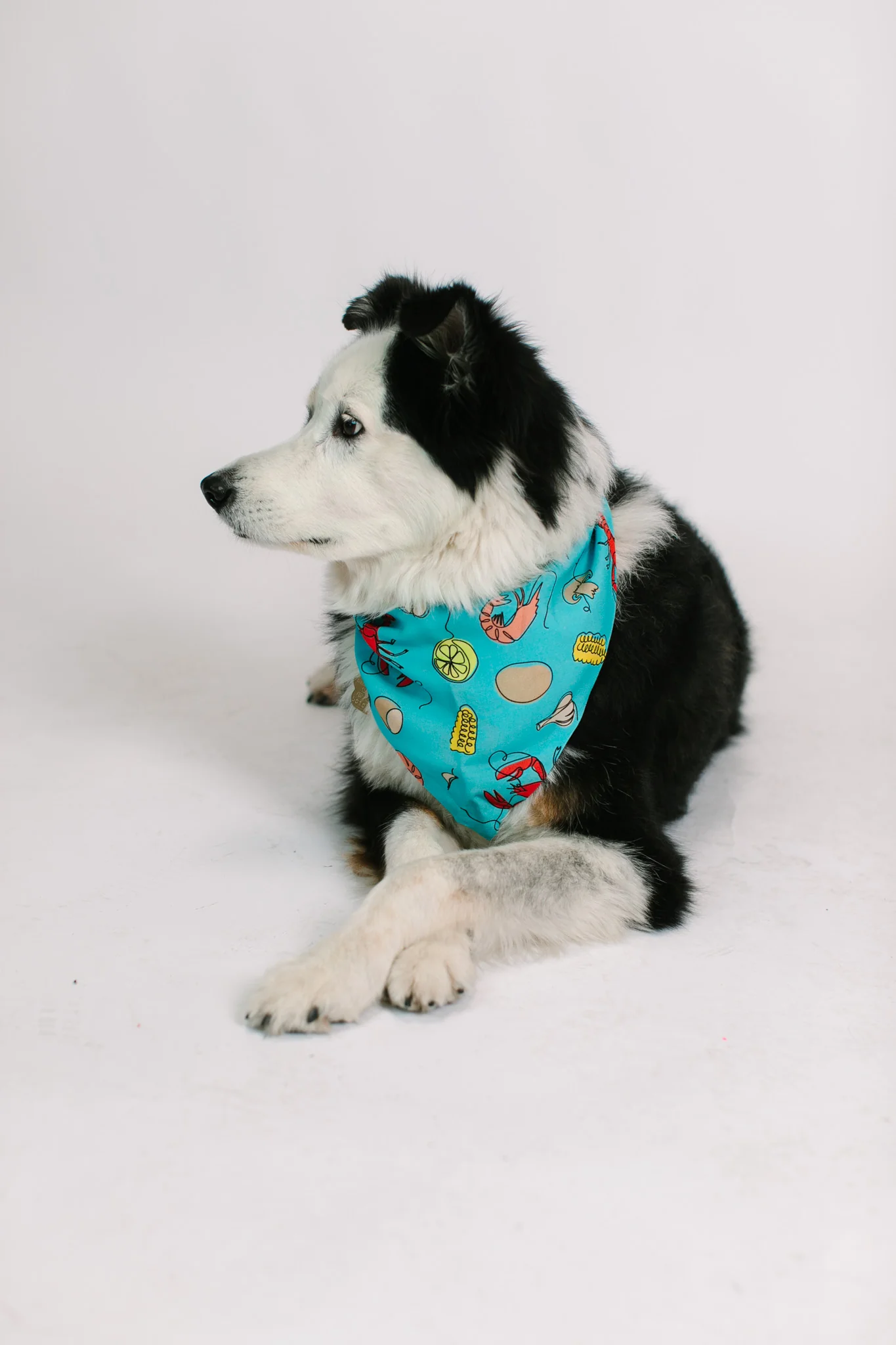 Blue Crawfish Dog Bandana - Image 6