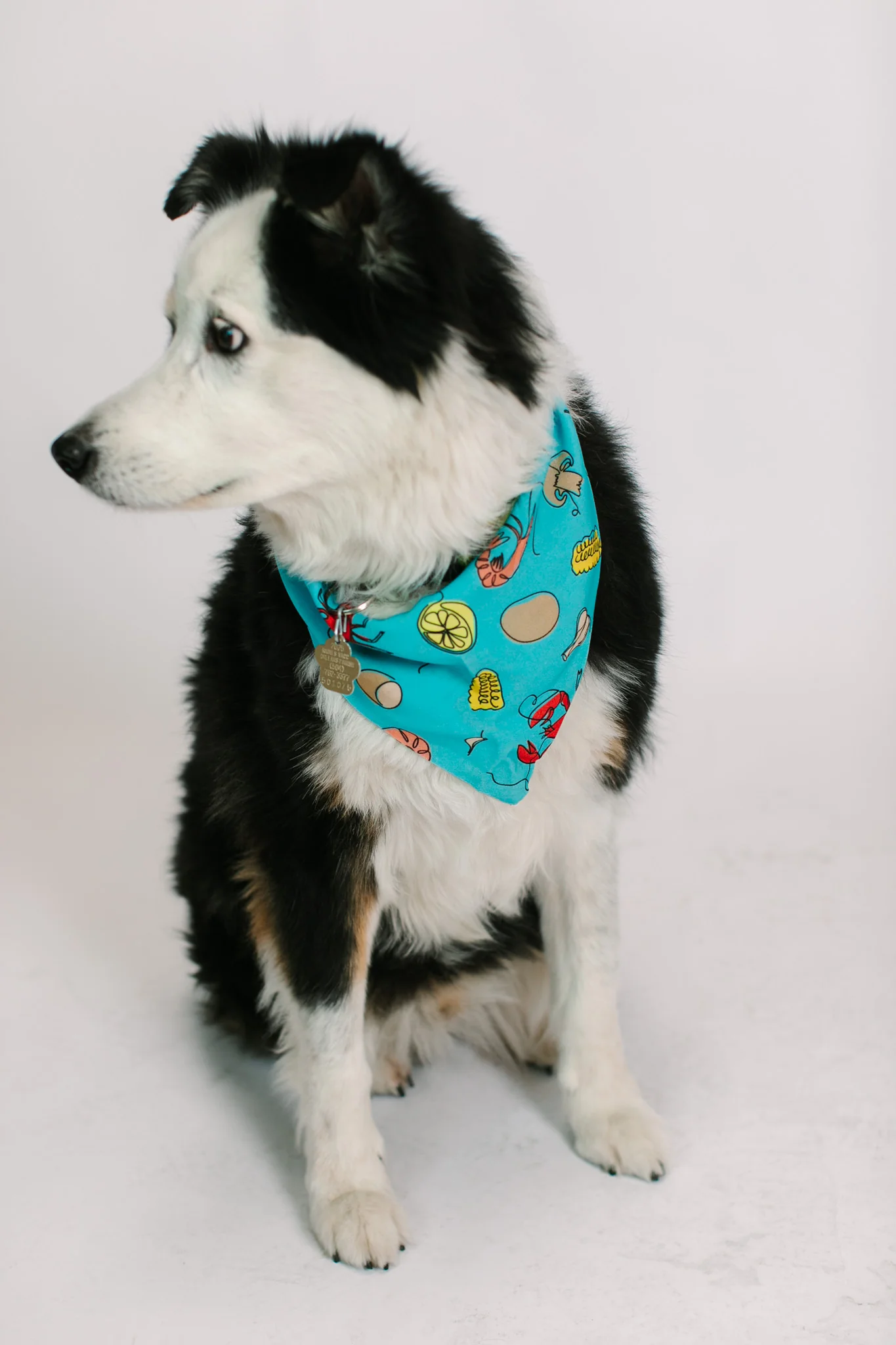 Blue Crawfish Dog Bandana - Image 7
