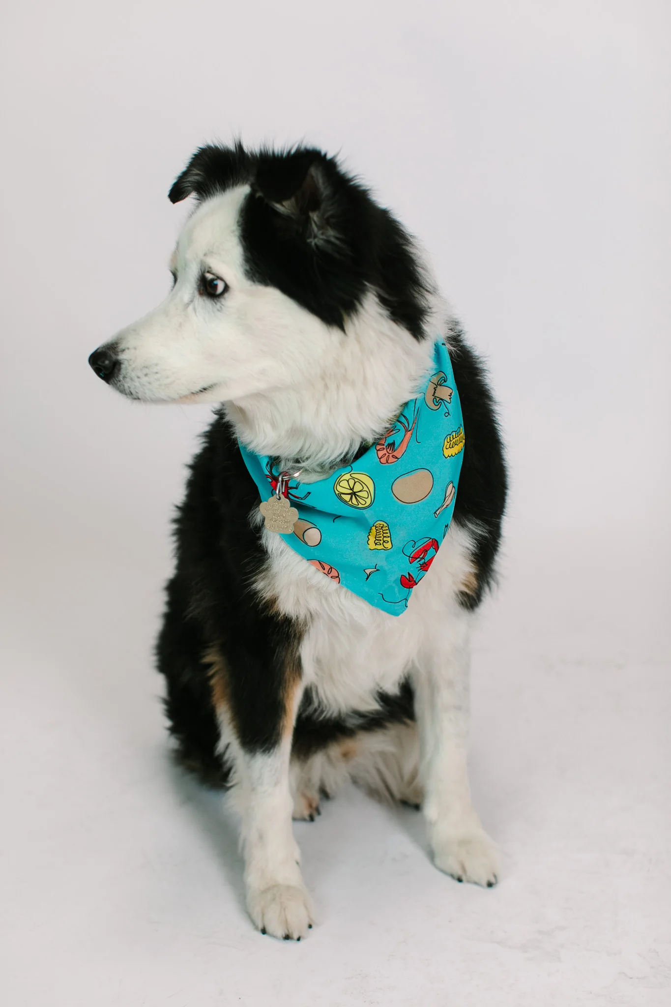 Blue Crawfish Dog Bandana - Image 8