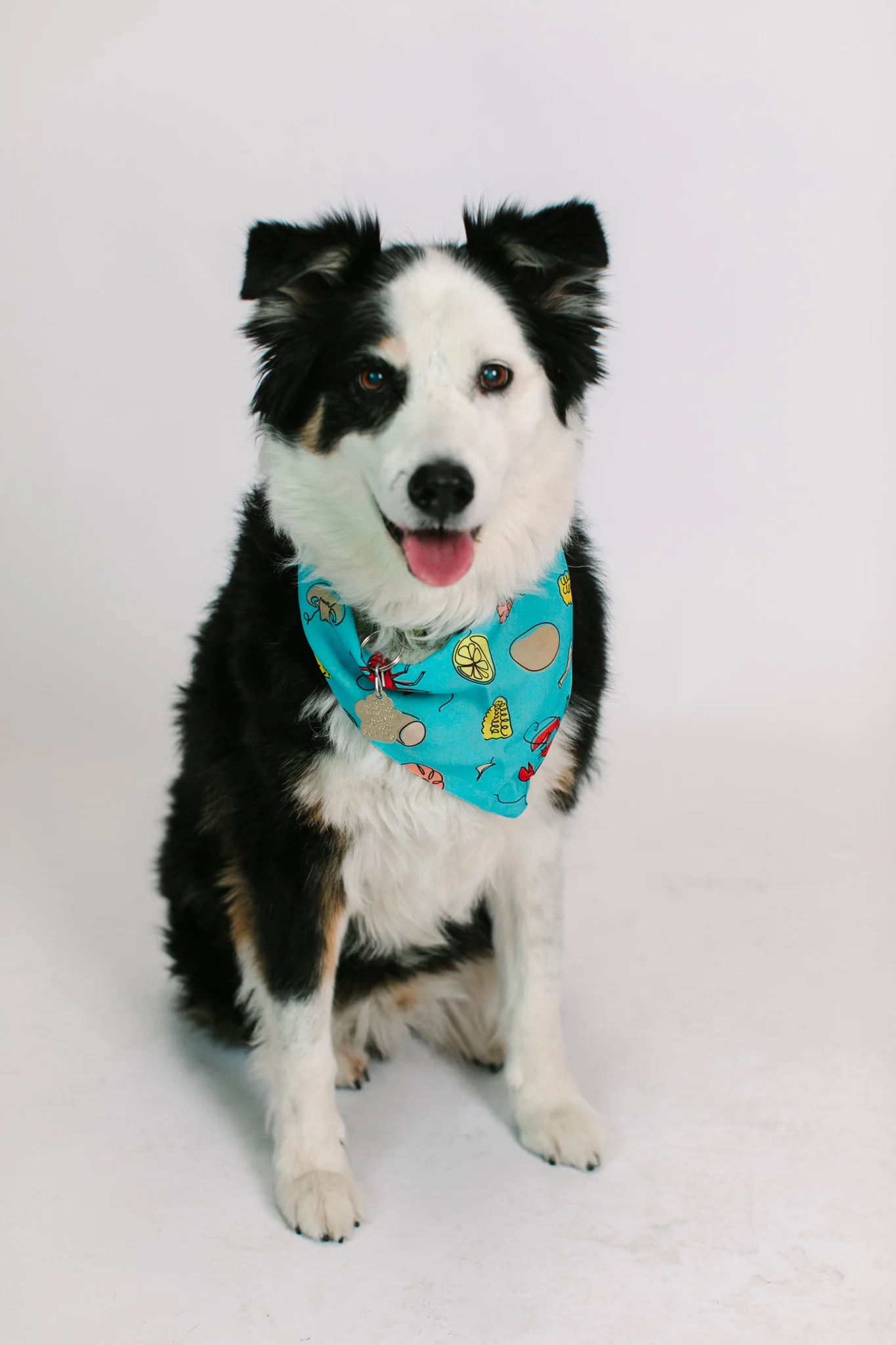 Blue Crawfish Dog Bandana - Image 9