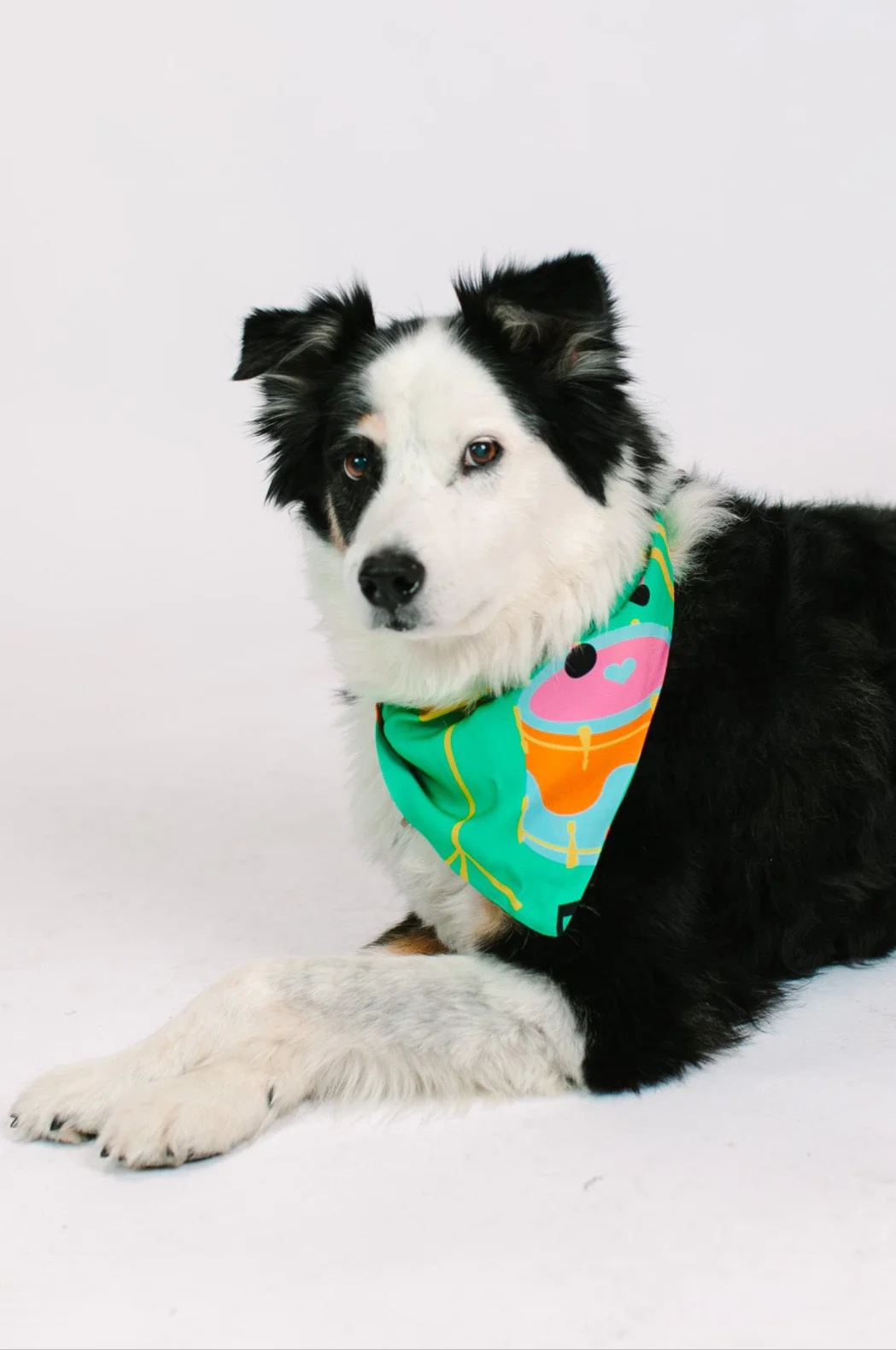 Jazzy Instrument Dog Bandana