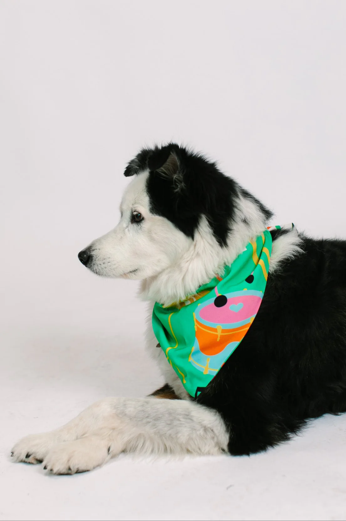 Jazzy Instrument Dog Bandana - Image 2