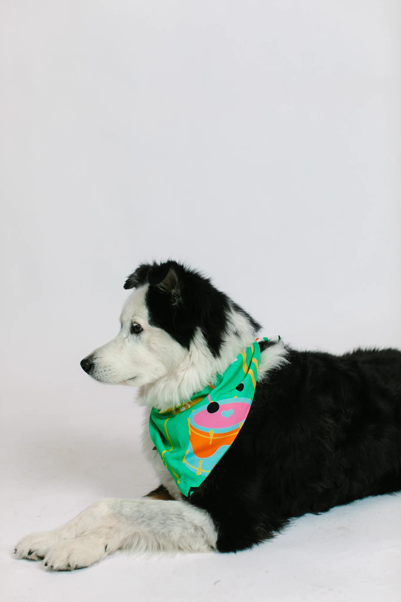 Jazzy Instrument Dog Bandana - Image 3