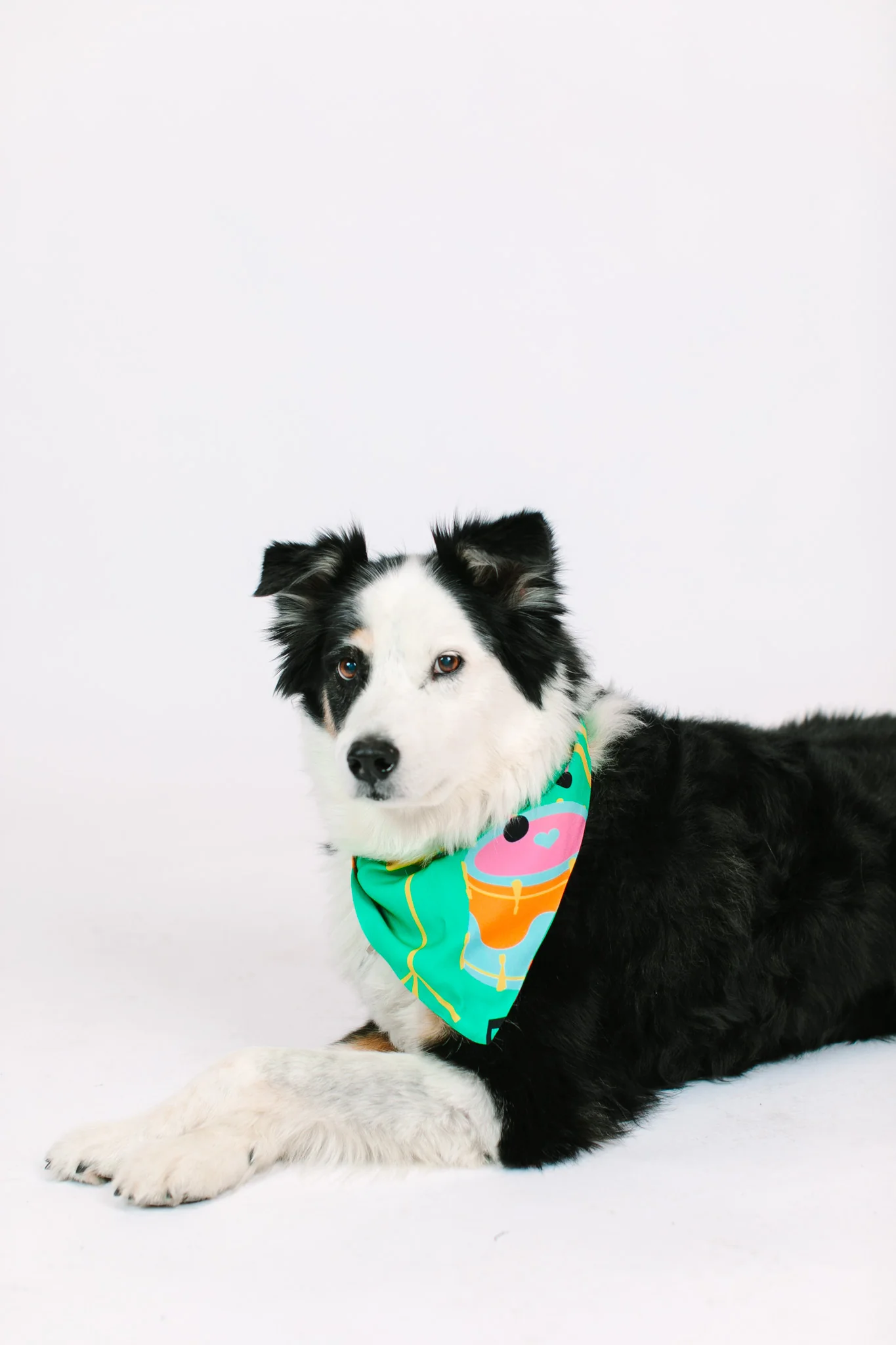 Jazzy Instrument Dog Bandana - Image 4