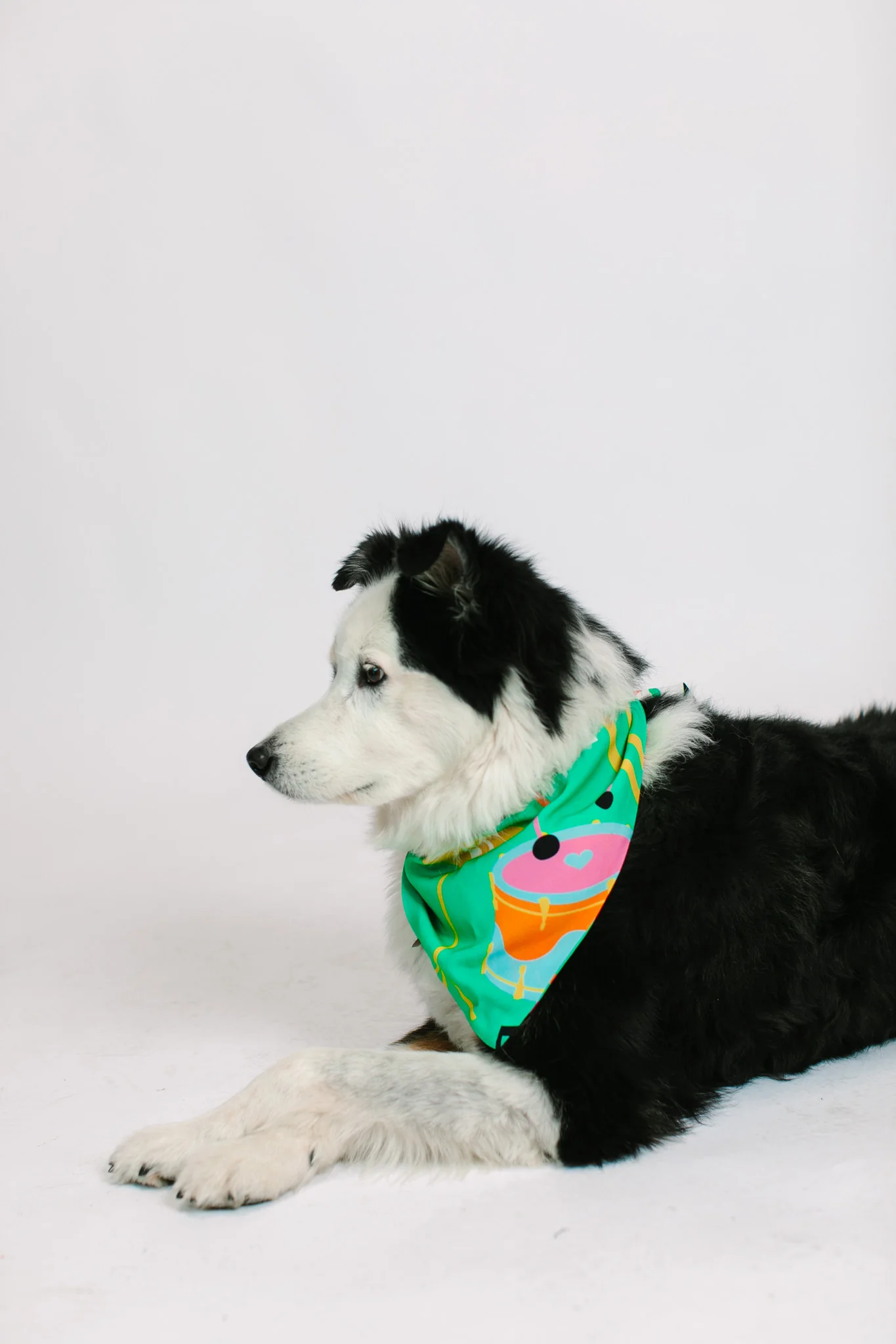 Jazzy Instrument Dog Bandana - Image 5