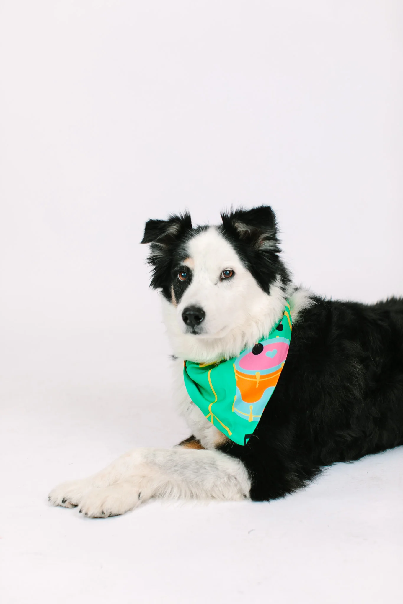 Jazzy Instrument Dog Bandana - Image 6