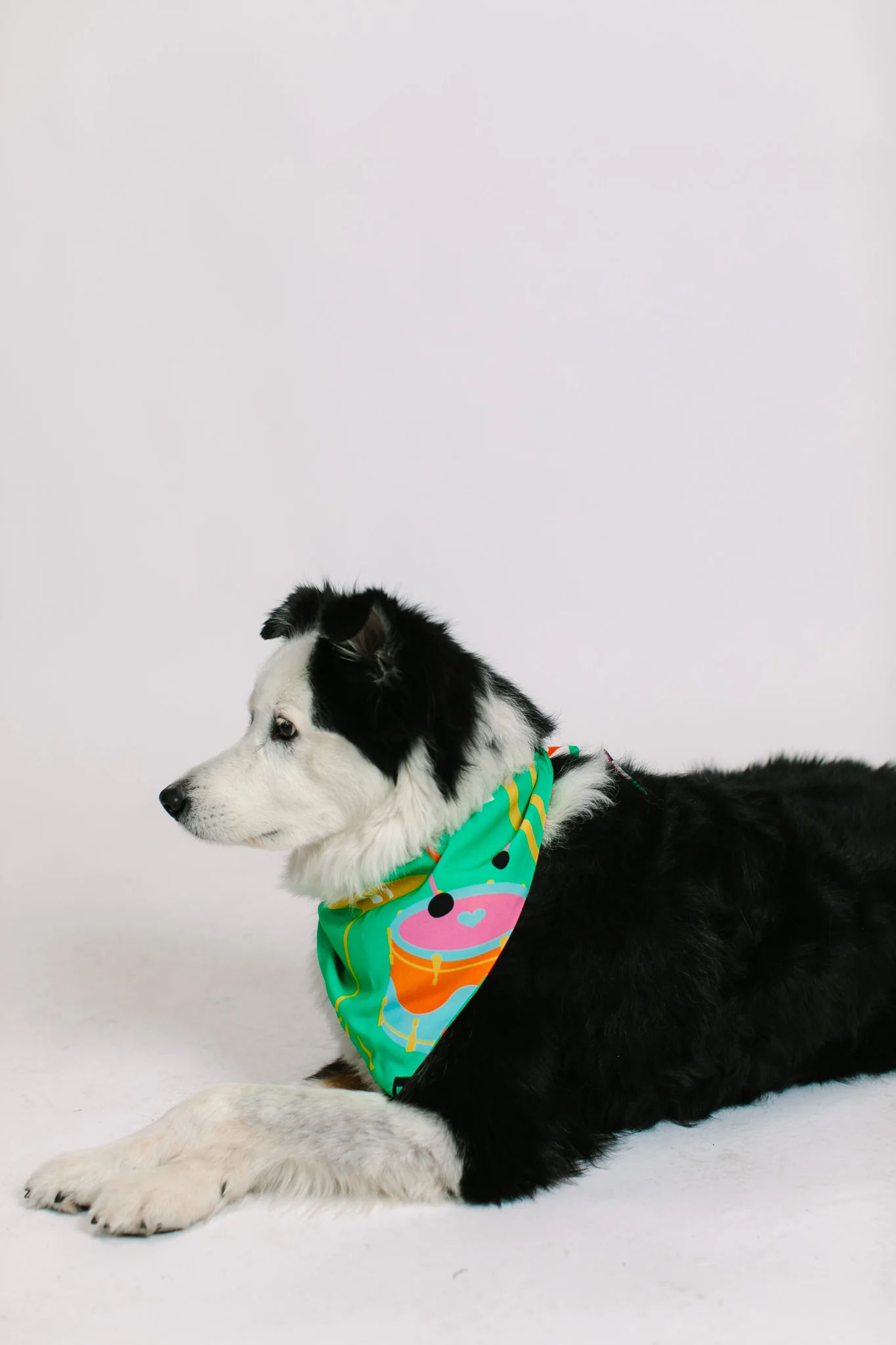Jazzy Instrument Dog Bandana - Image 7